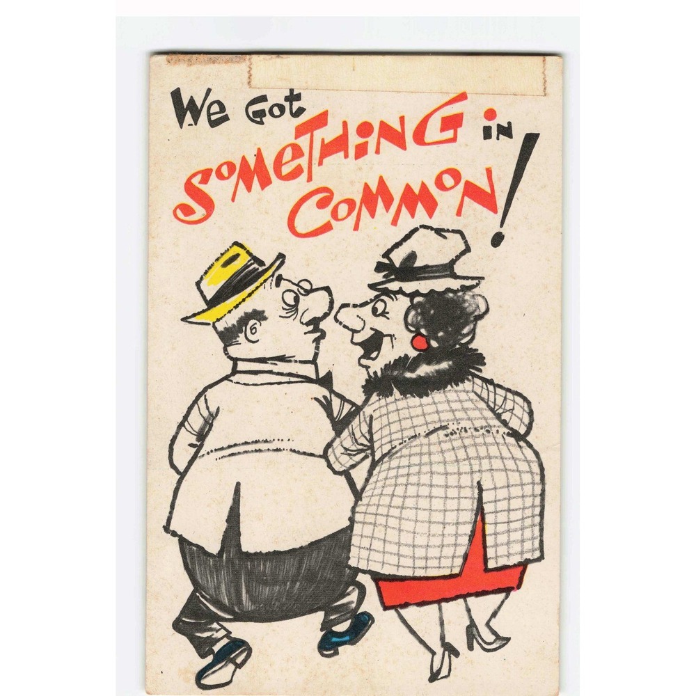 Vintage Plastichrome Humorous Cartoon Postcard We Got Something In Common VG